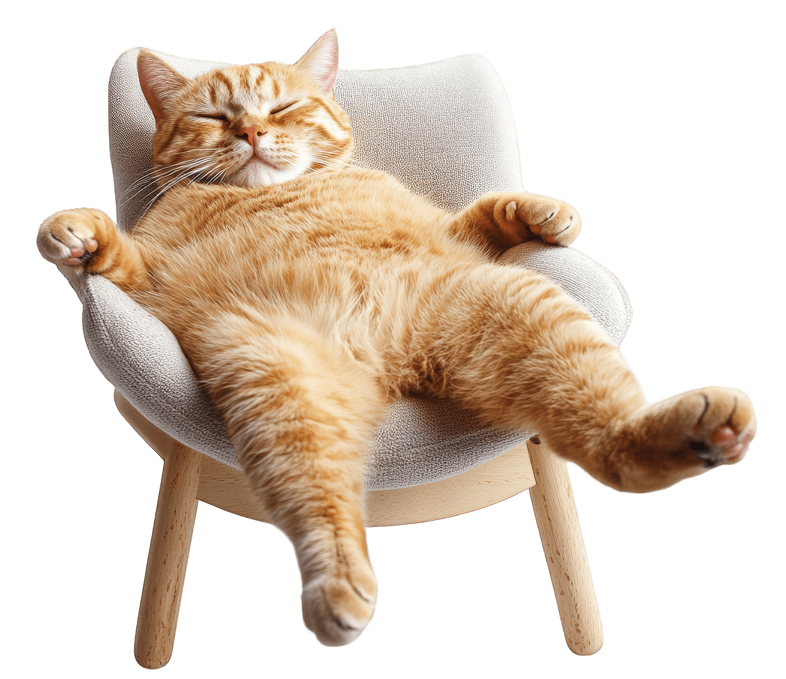 TOP CAT HUB